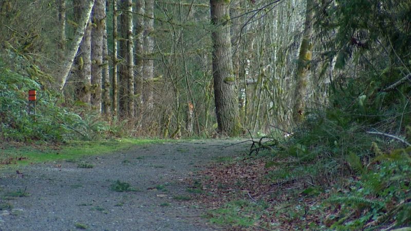 Cougar attacks mountain bikers on Washington trail