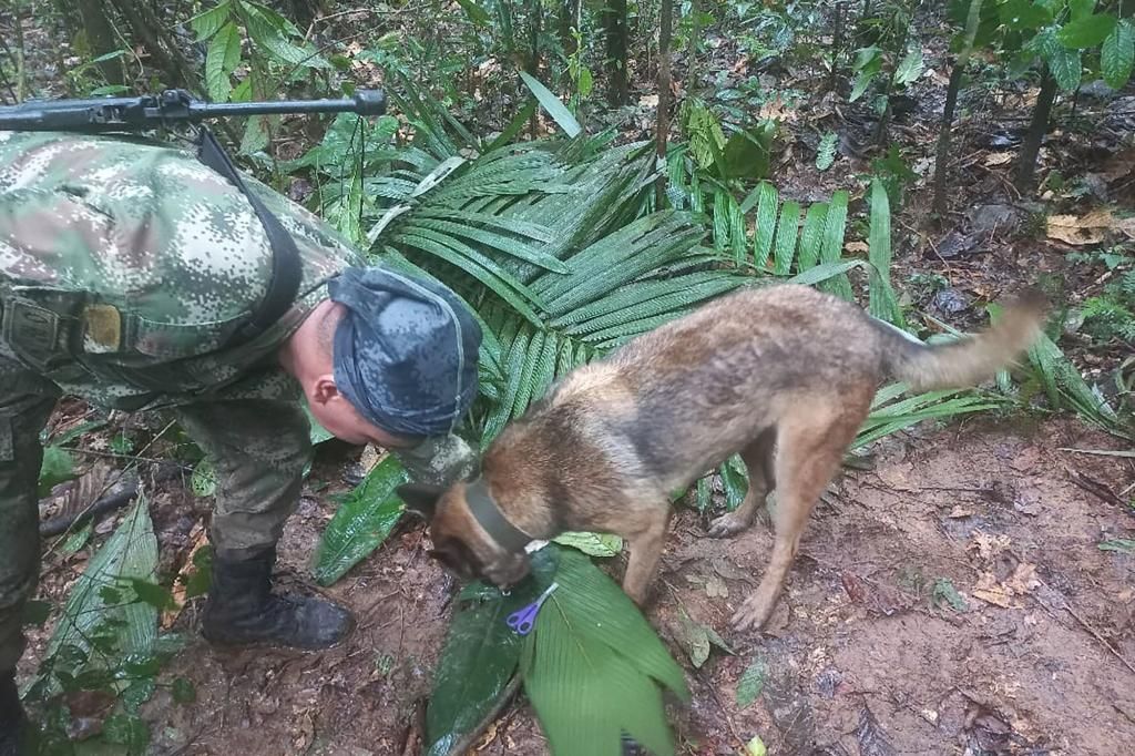 4 kids found alive 2 weeks after plane crashes in Colombian jungle