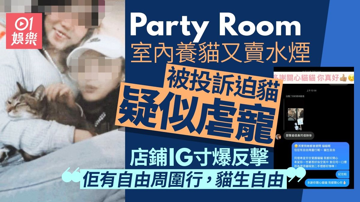 Party Room被投訴迫貓食二手水煙 IG回覆引熱討：貓有自由周圍行