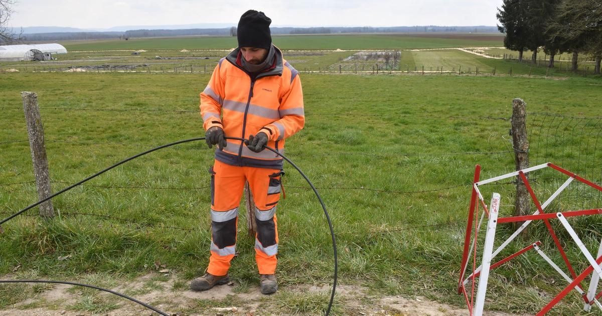 Fibre optique: le torchon brûle entre collectivités, opérateurs, régulateur et État