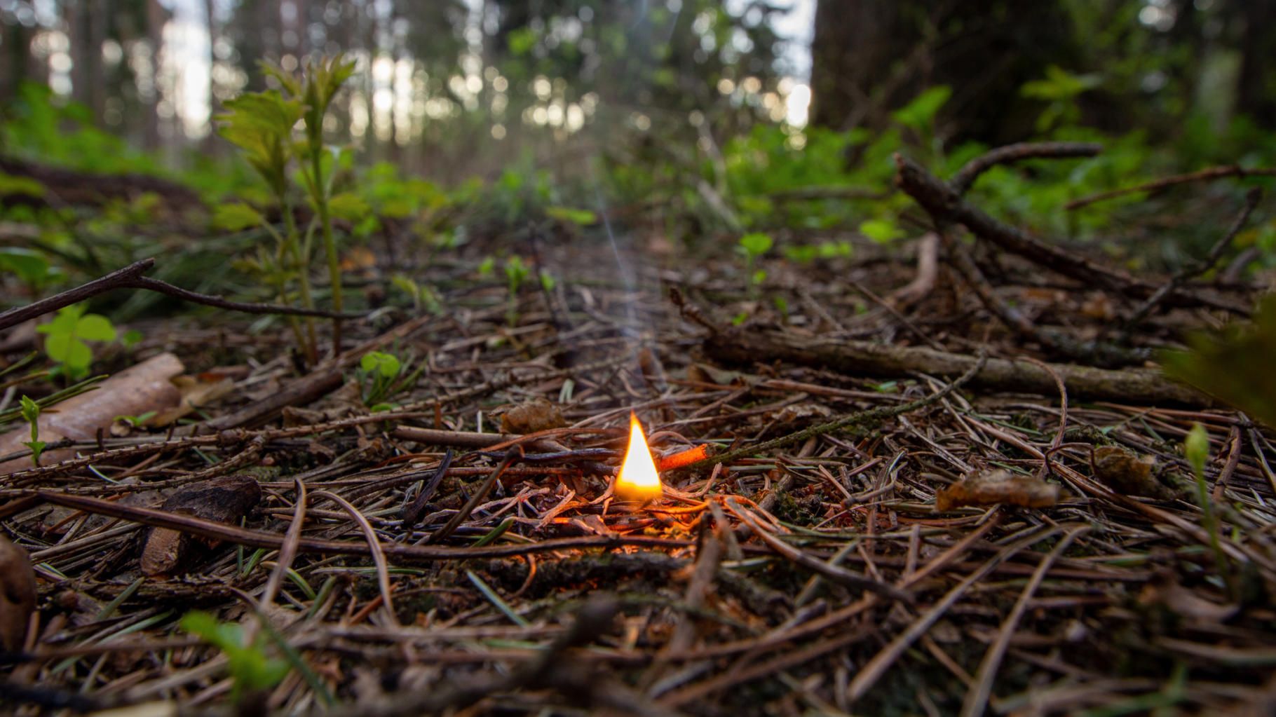 L’Assemblée nationale étend l’interdiction de fumer dans les bois et forêts en cas de risque d’incendie