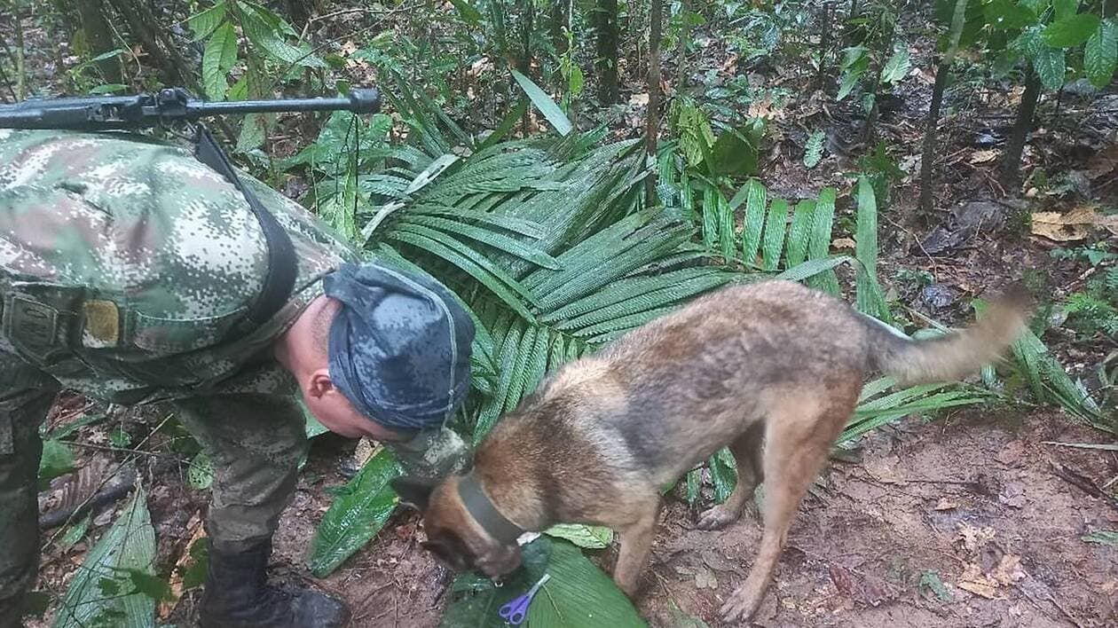 Colombie : les quatre enfants retrouvés après un crash sont finalement toujours portés disparus