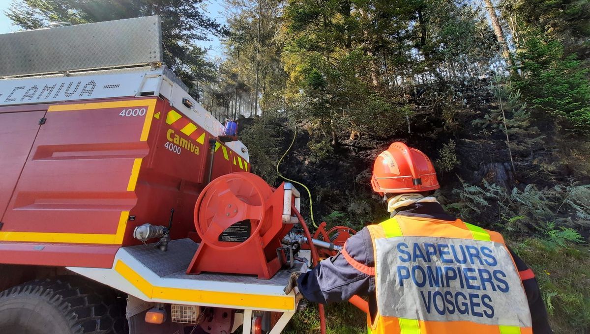 Vosges : un feu de forêt à Bruyères, deux hectares brûlés