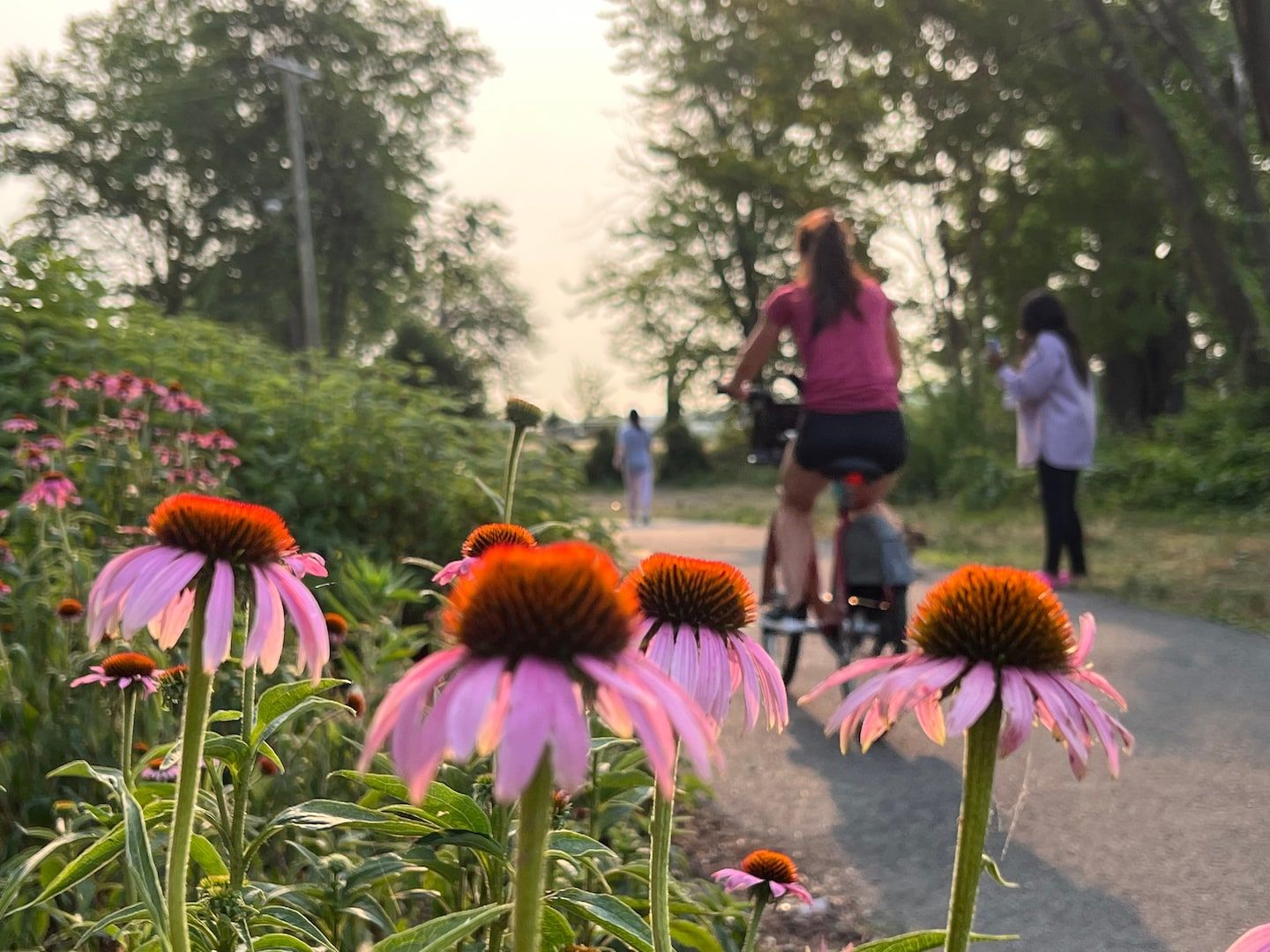 D.C.-area forecast: A sunny and warm Father’s Day, as rain continues to stay away