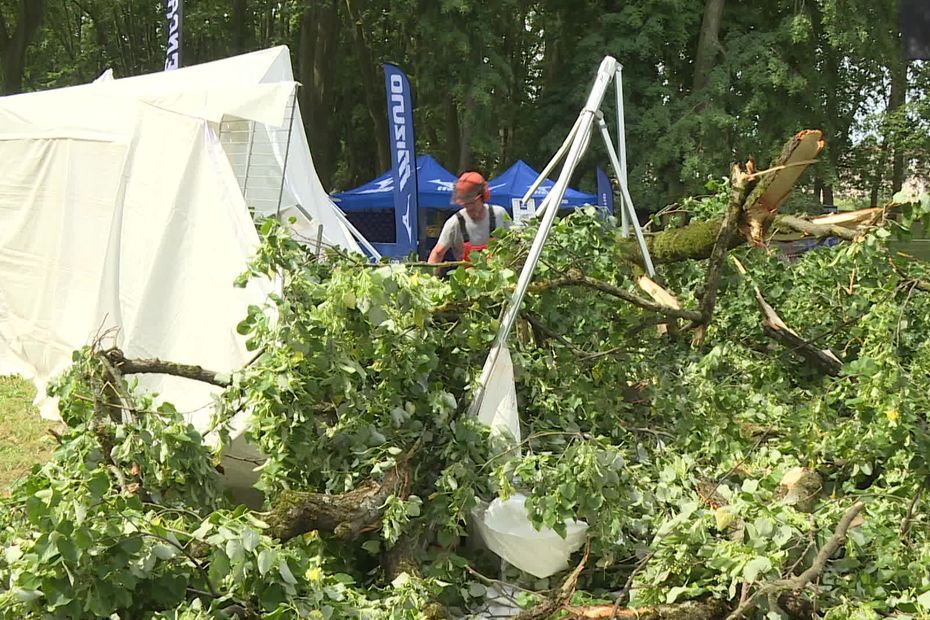 Une partie d'un tilleul tombe au parc Chamars, certaines activités de Grandes Heures Nature annulées