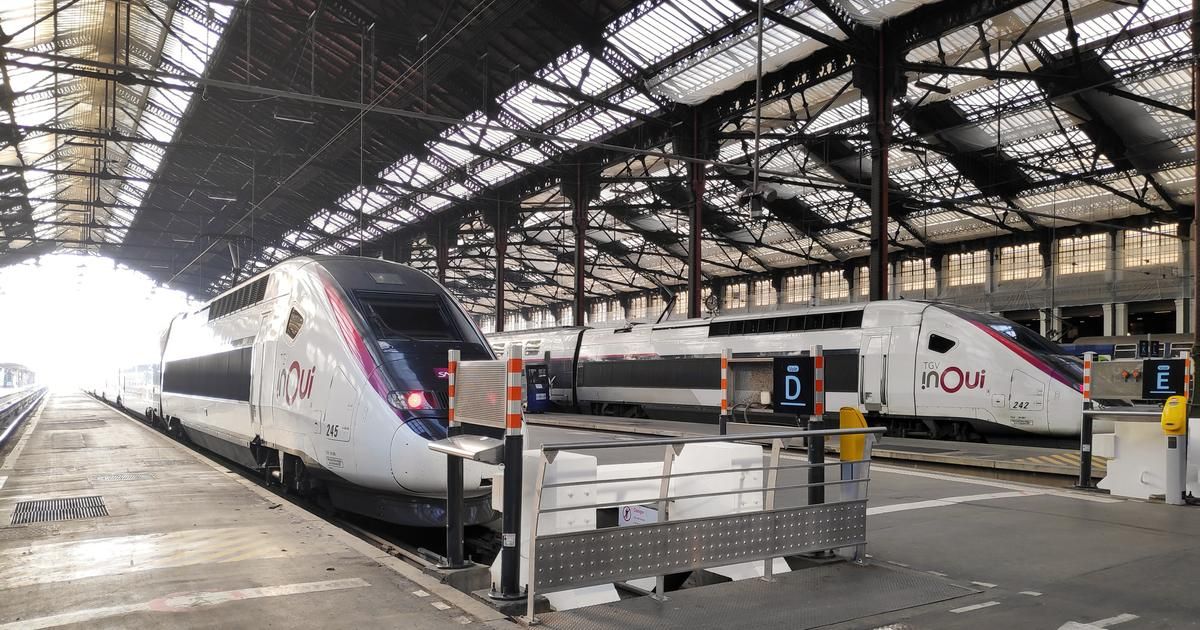 Paris : des problèmes électriques perturbent la circulation des trains à la Gare de Lyon