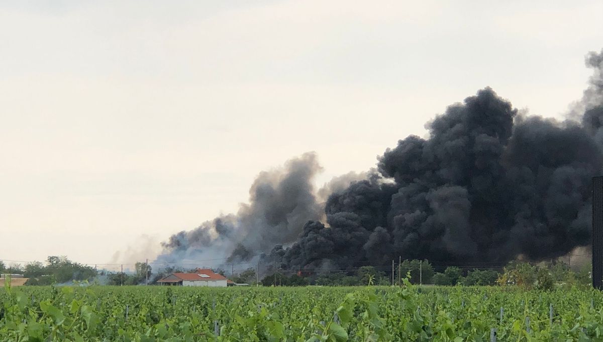 Colmar : important incendie de déchets et de végétation, une centaine de personnes évacuées