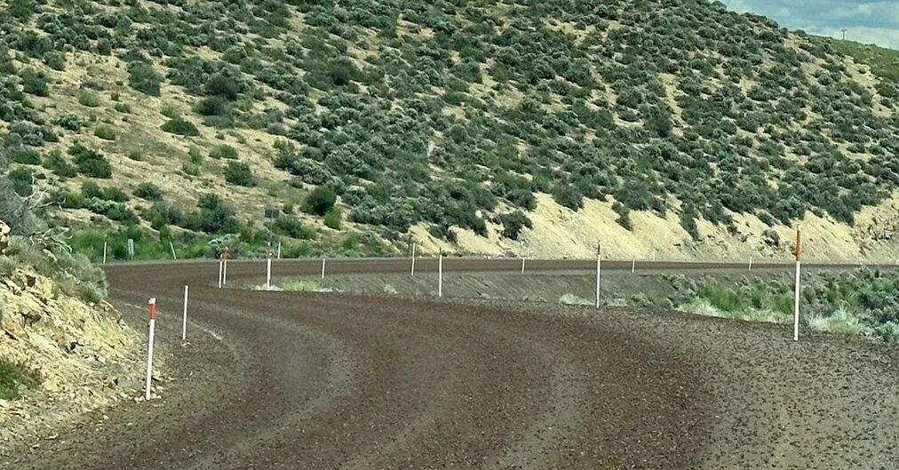 A Nevada City Confronts Millions of Smelly Mormon Crickets