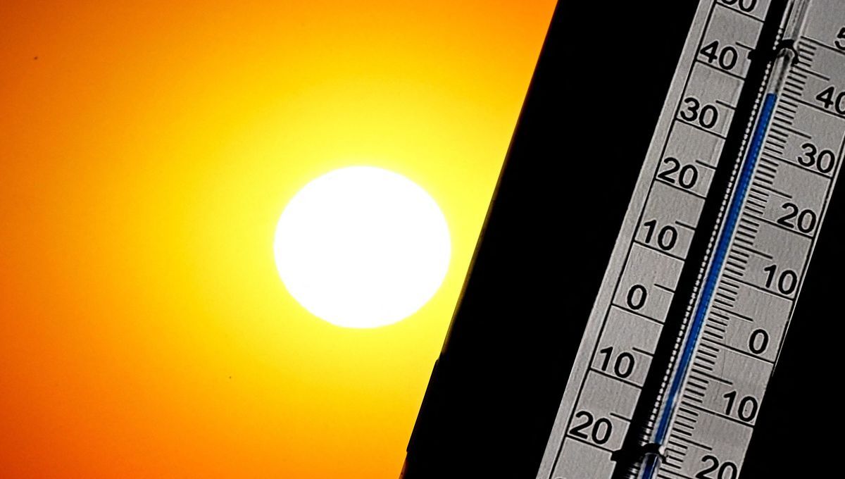 Canicule : sept départements en vigilance orange, des pics de température déjà atteints