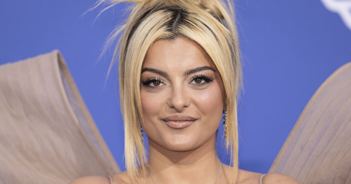 Bebe Rexha shares text allegedly from partner Keyan Safyari