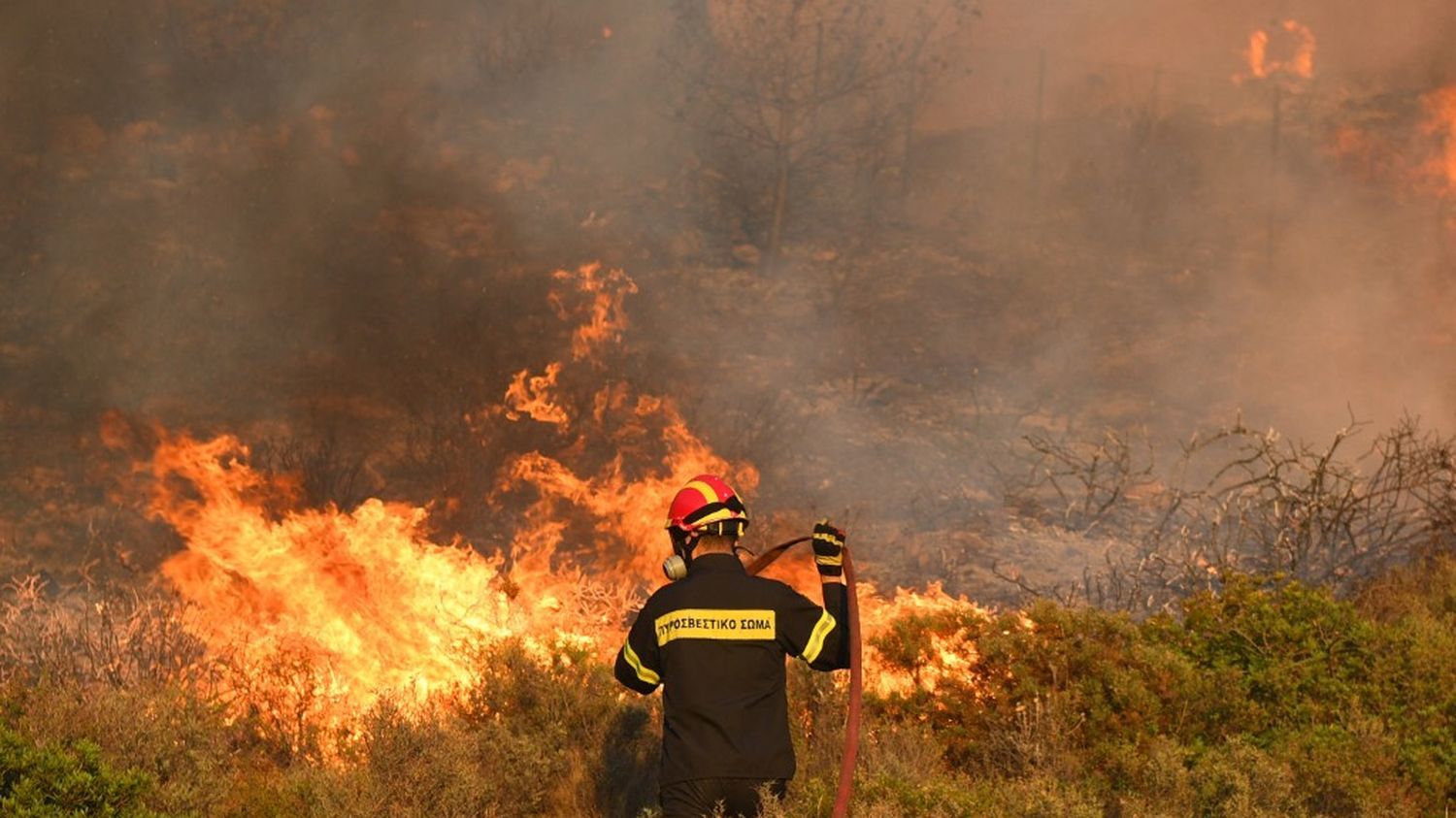 Canicule en Grèce : ce que l'on sait des incendies qui touchent notamment la région d'Athènes