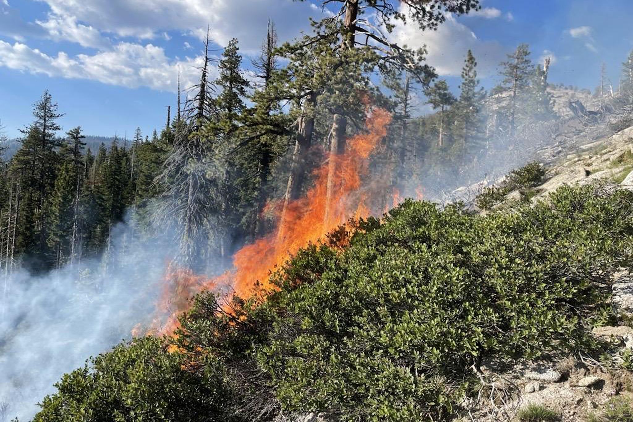 Why crews are not aggressively fighting Yosemite's Pika Fire