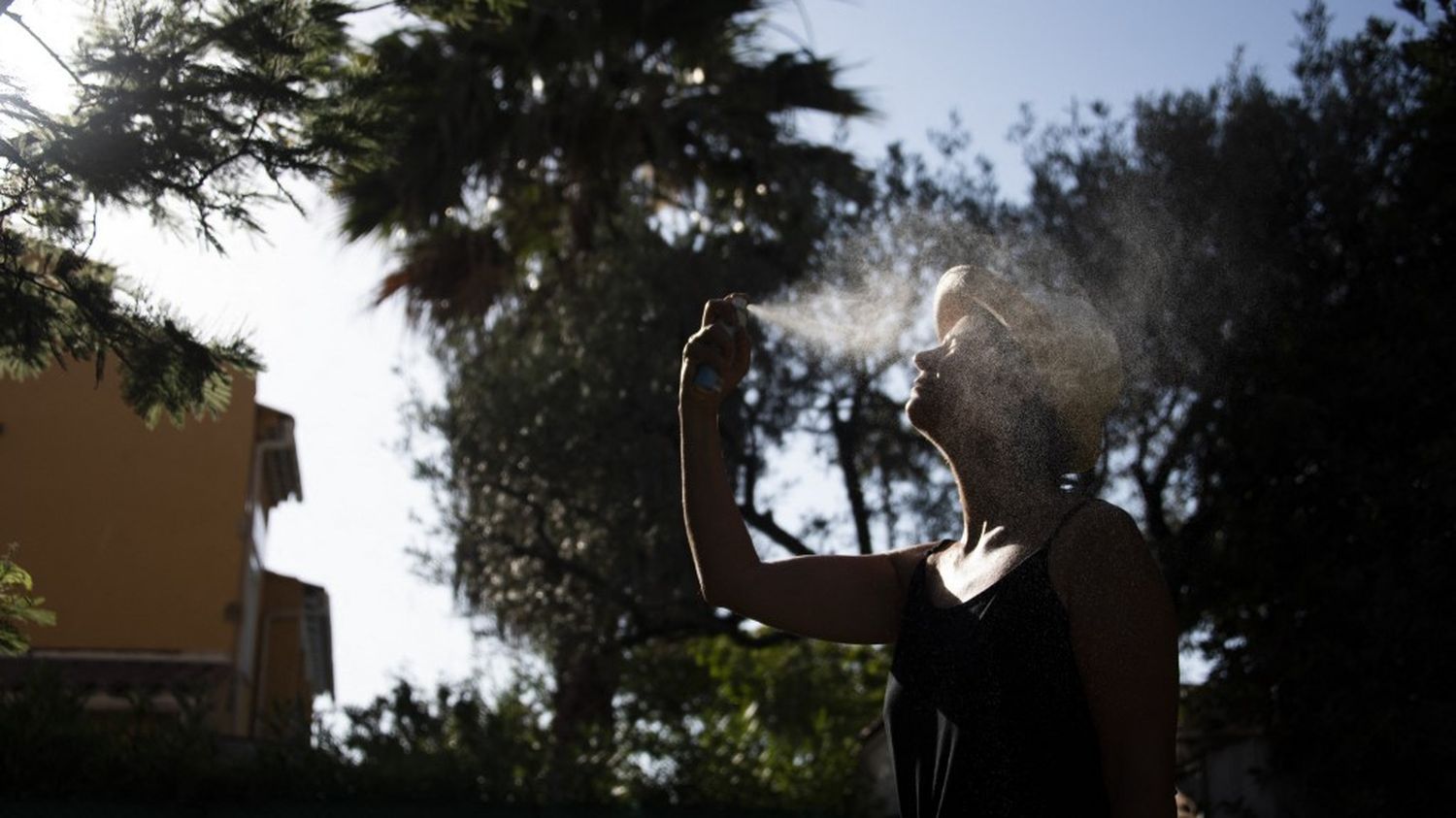 Canicule : de nombreux records de chaleur battus, des Pyrénées aux Alpes en passant par la Corse