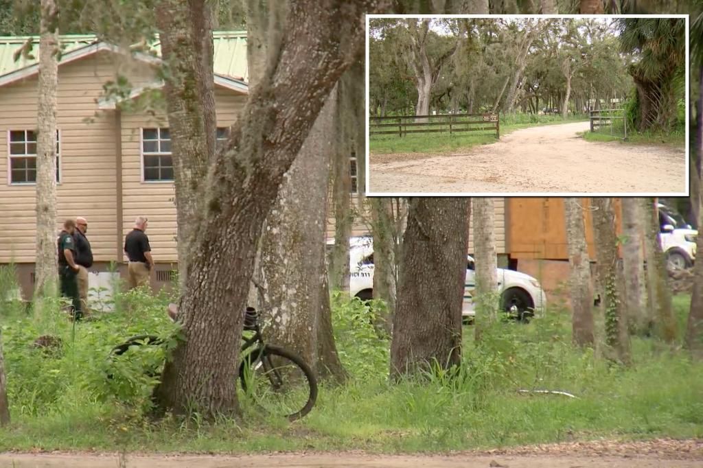 Florida boy, 7, killed by toddler driving golf cart