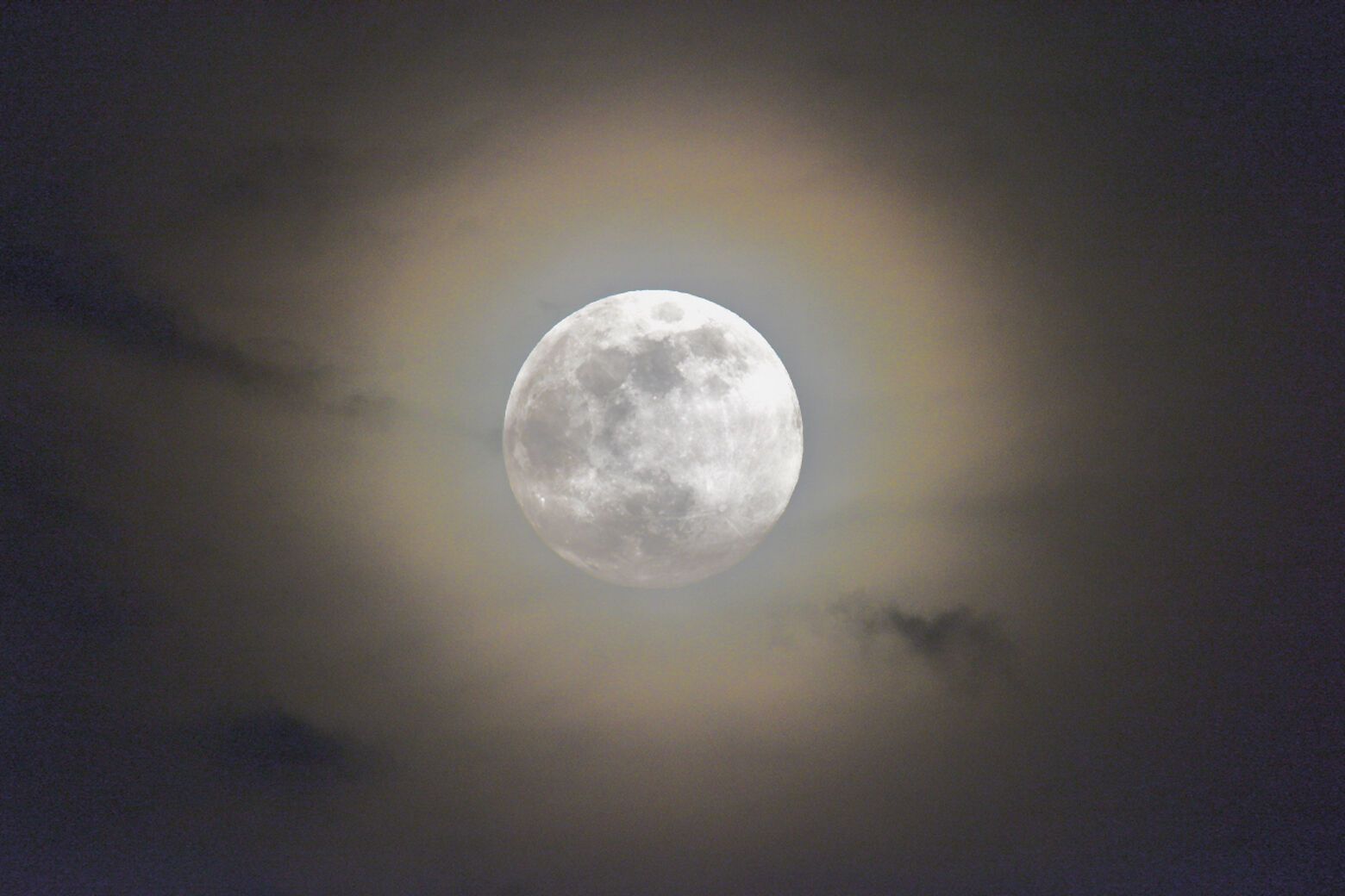 Look up in the sky! A Super Blue Sturgeon Full Moon