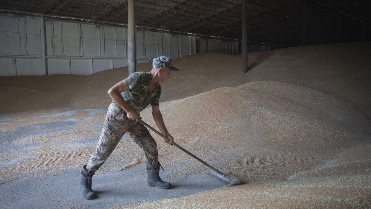 Embargo sur les céréales: l'Ukraine porte plainte contre cinq pays de l'UE