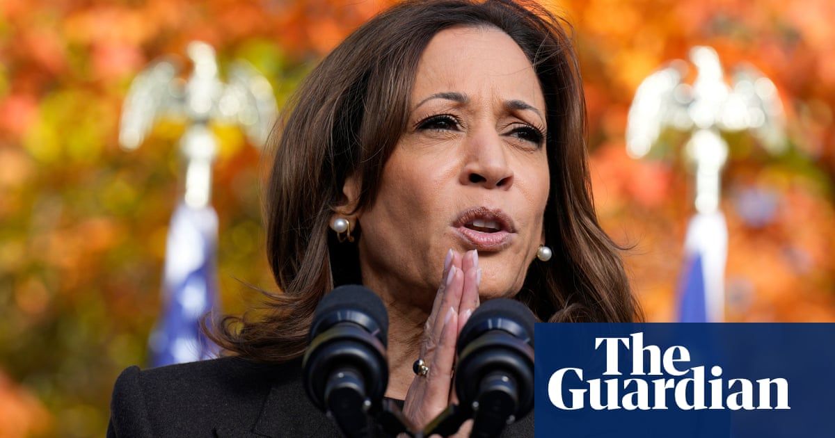 Kamala Harris questions Trump’s stamina: ‘Is he fit to do the job?’