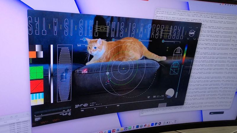 NASA just beamed back a cat video from space using a laser