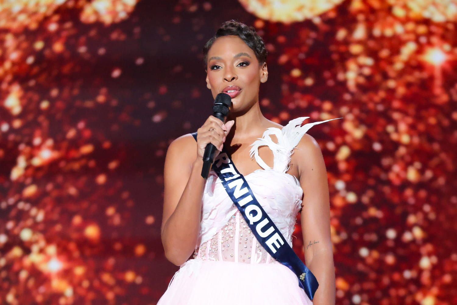 "J'ai tout mis à mon goût" : Angélique Angarni-Filopon installée dans l'appartement des Miss France