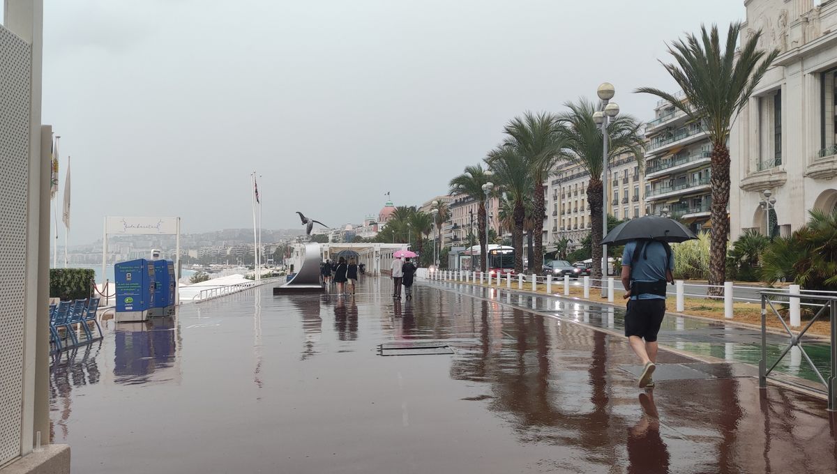 La pluie de ce mois de mai va-t-elle balayer la sécheresse dans les Alpes-Maritimes et la région PACA ?