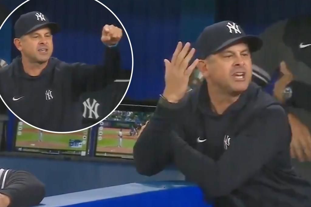 Aaron Boone shouts 'sit the f--k down' in series' final flap