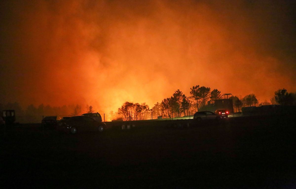 700 personnes évacuées à cause d'un feu de forêt " hors de contrôle "