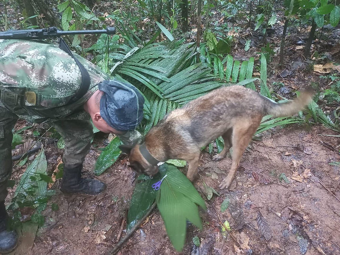 Colombia plane crash: What we know so far