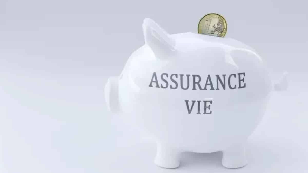 Assurance vie : ces supports méconnus auxquels personne ne pensent