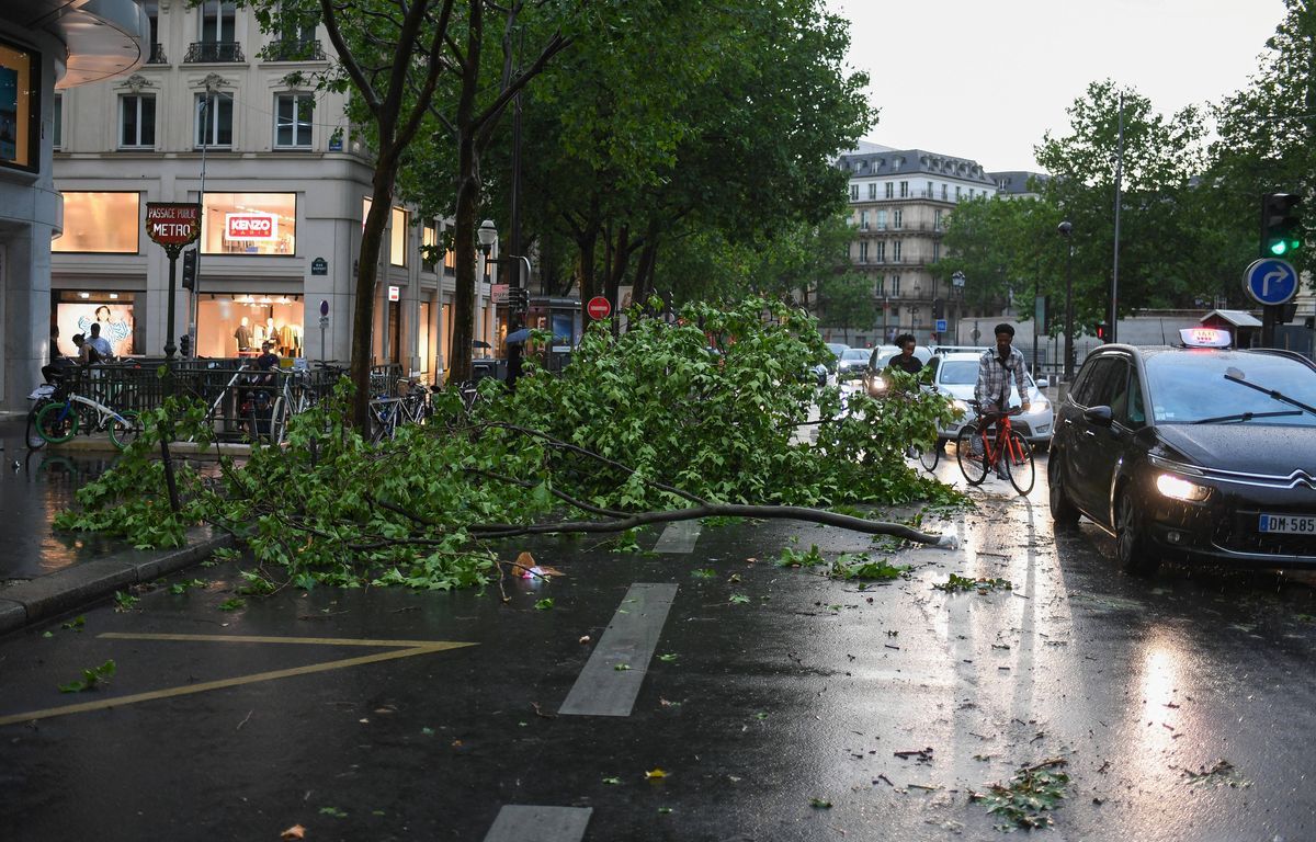 Orage, inondations et vents violents, un long dimanche de pagaille en Île-de-France