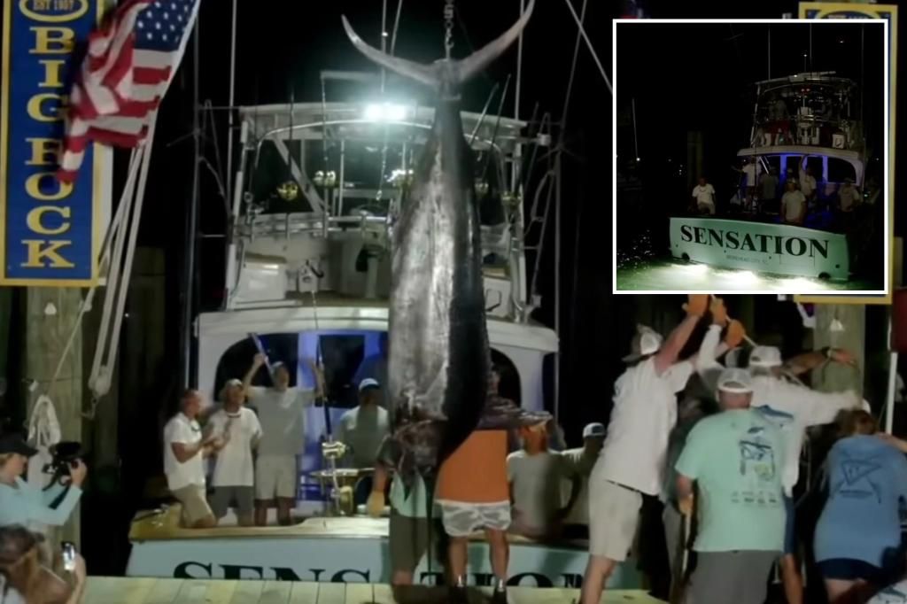 Massive marlin DQ'd in Big Rock Blue Marlin Tournament over mutilation