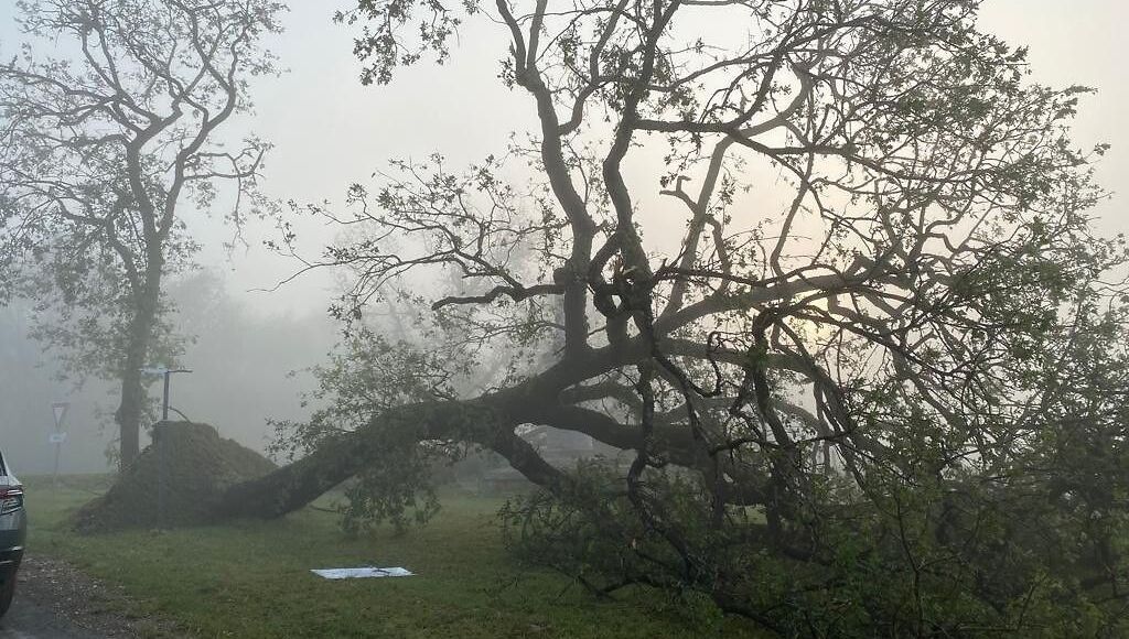 Ecoles inondées à Mehun, 80% de toitures abimées à Preuilly : de violents orages balaient l'Indre et le Cher