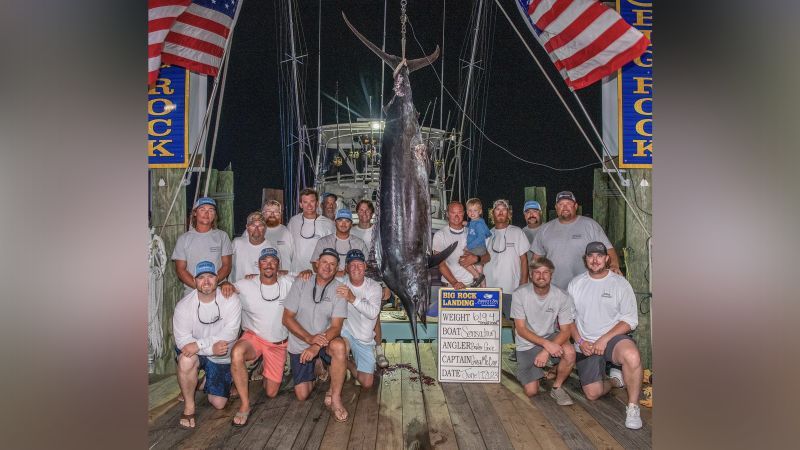 Fishing crew misses out on $3 million prize after 619-pound blue marlin disqualified because of 'mutilation'