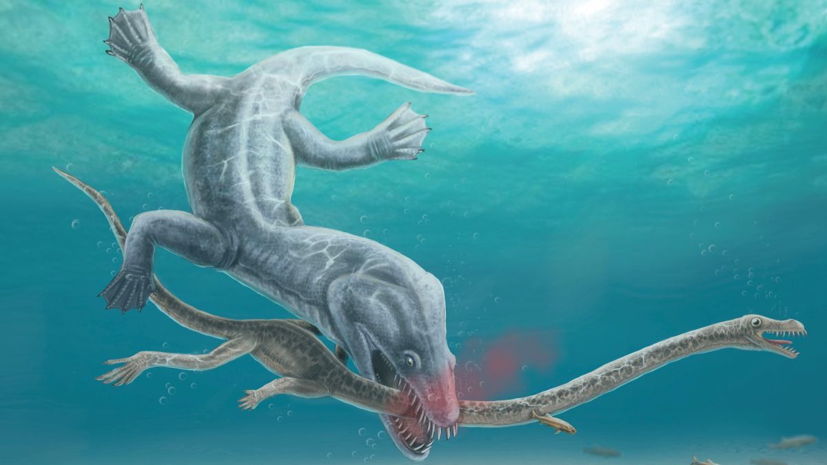 Enormous 240 million-year-old sea monster had its head torn off in one clean bite