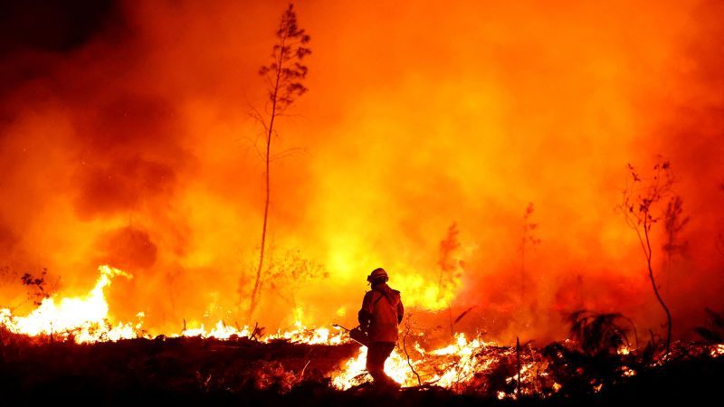 Heat, drought and fire: Europe's year of extremes in 2022 will not be a 'one off,' new report finds