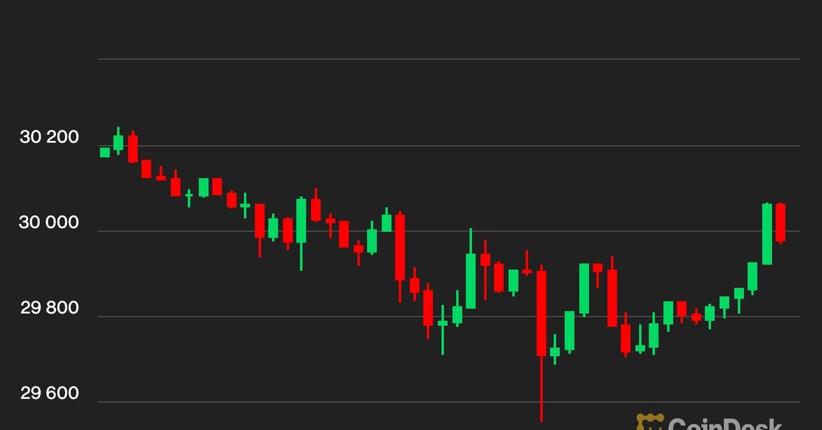 Bitcoin BTC Price Lingers Below $30K, While XRP Continues Its Rally