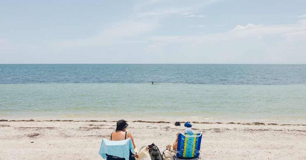 In Florida, Swimmers Brave an Ocean That Feels Like Steamy Syrup