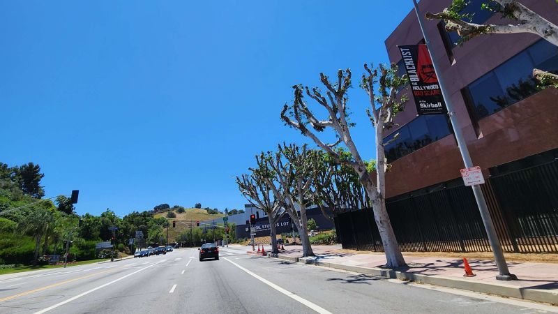 Universal under investigation after it trimmed trees that shaded SAG-AFTRA protesters