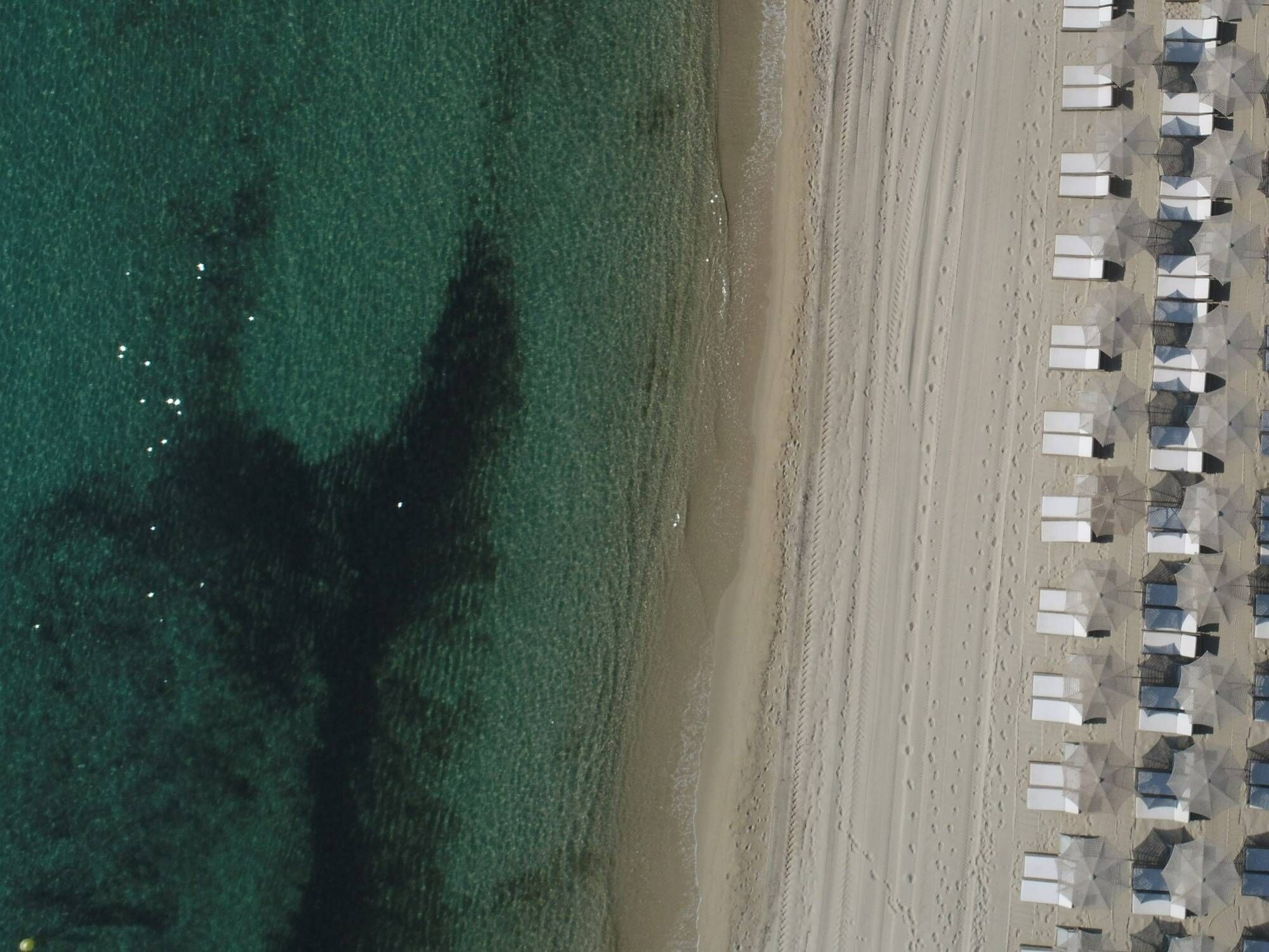 Pourquoi la mer Méditerranée est-elle plus fraîche dans le Var que dans les Alpes-Maritimes?