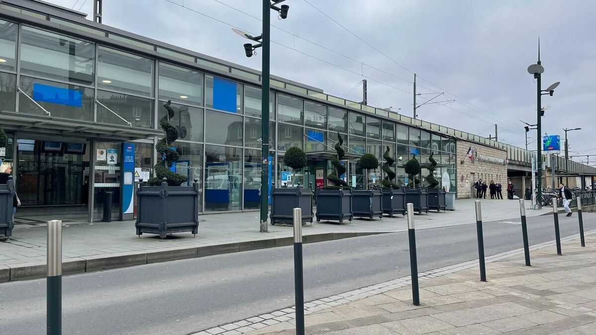 Ligne P : un homme poignardé, son frère frappé par un voyageur pour une place dans un train à Chelles