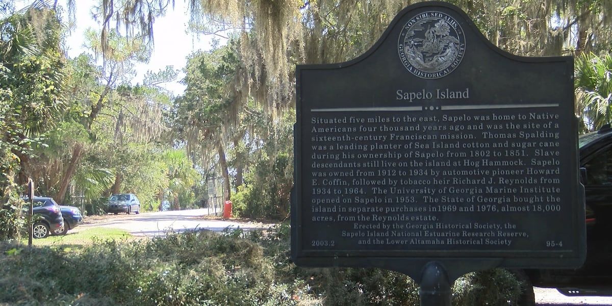 At least 7 dead following Sapelo Island dock collapse