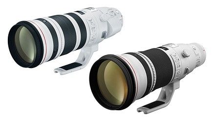 Canon RF 200-500mm 大砲確認，有望年底前發布