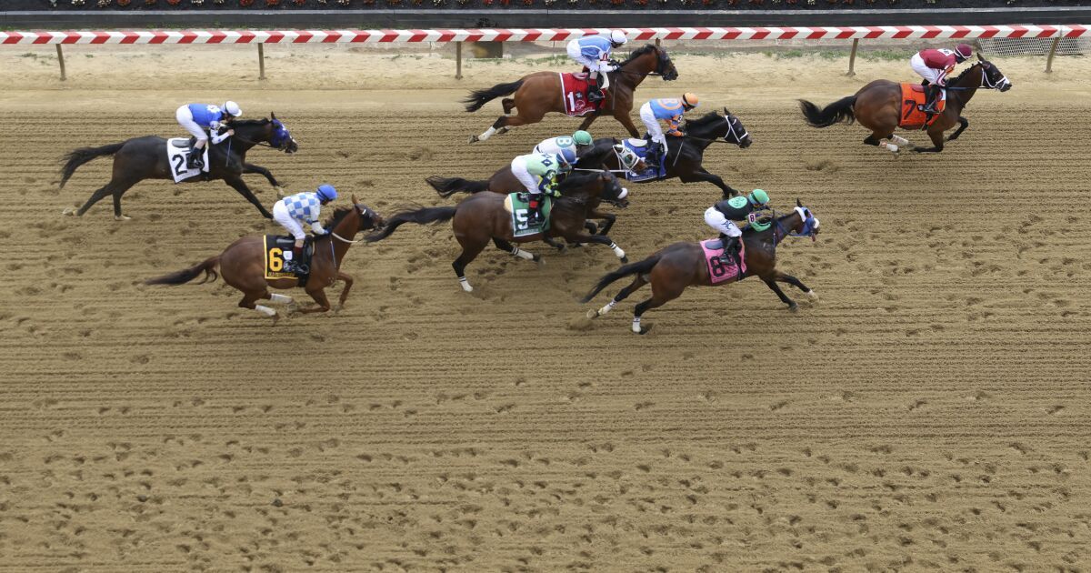 Preakness: Bob Baffert horse Havnameltdown euthanized, jockey hurt