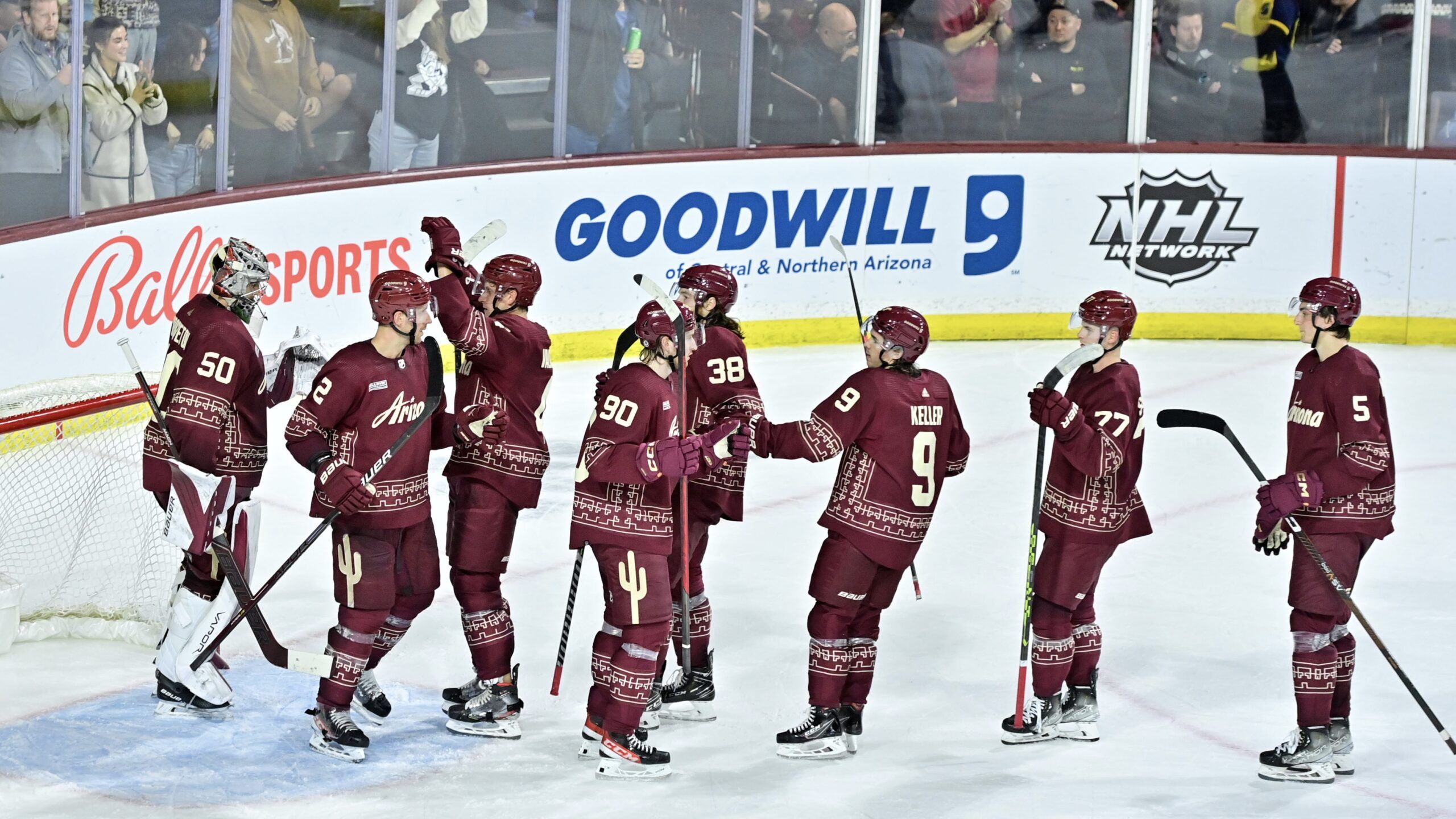 Coyotes still have many potential arena solutions in Valley.