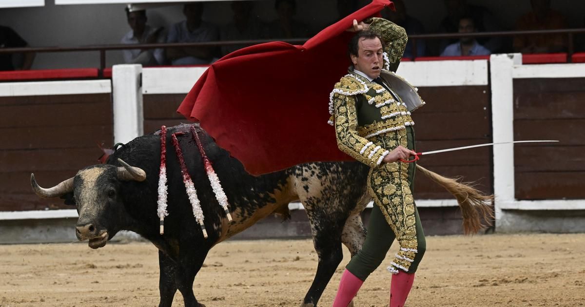 Corrida : le torero Roman Collado gravement blessé en plein combat