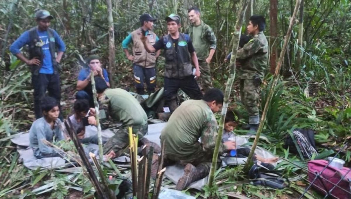 À la place des enfants perdus dans la jungle colombienne, nous n'aurions pas survécu