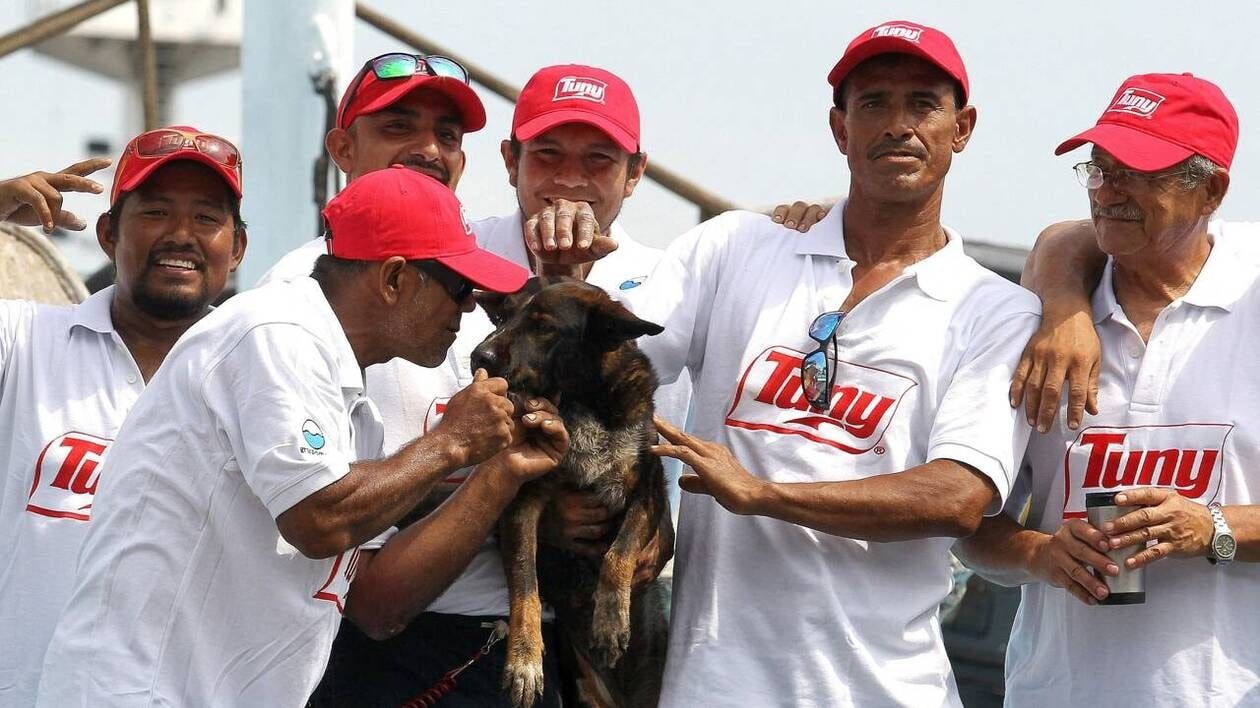 Le naufragé australien secouru en mer offre son chien au capitaine mexicain qui lui a sauvé la vie