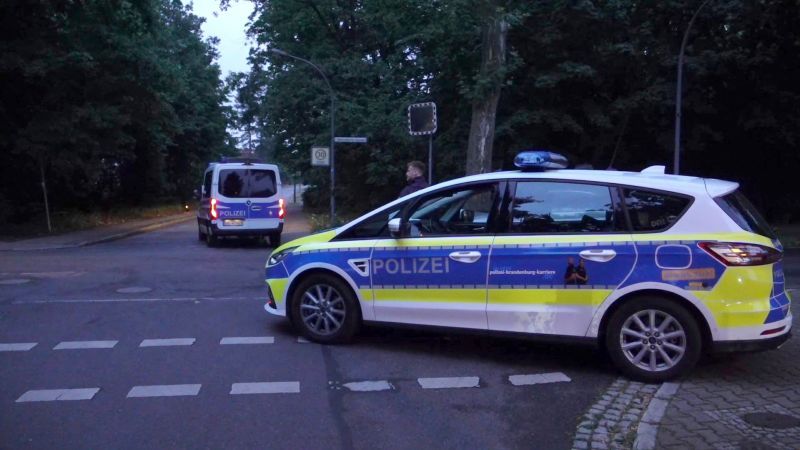 Germany warns of suspected lioness on the loose outside Berlin