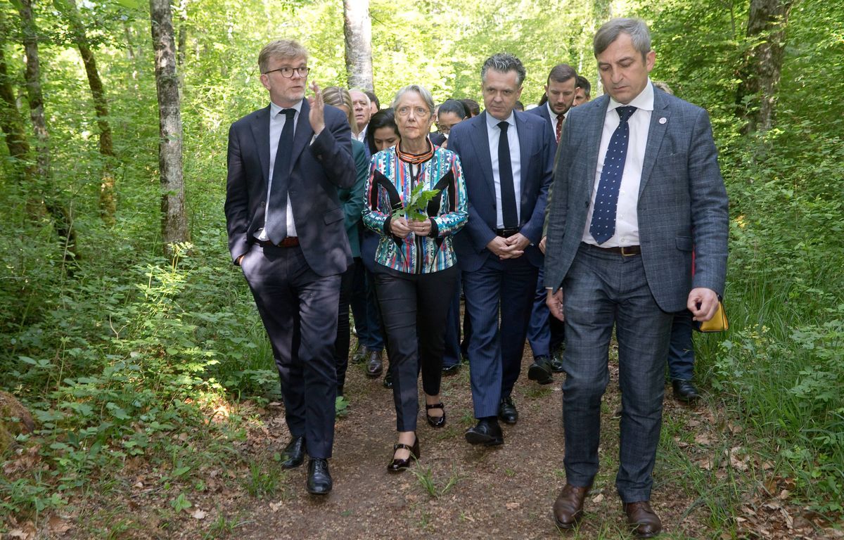 Le gouvernement dévoile sa stratégie nationale biodiversité attendue de longue date