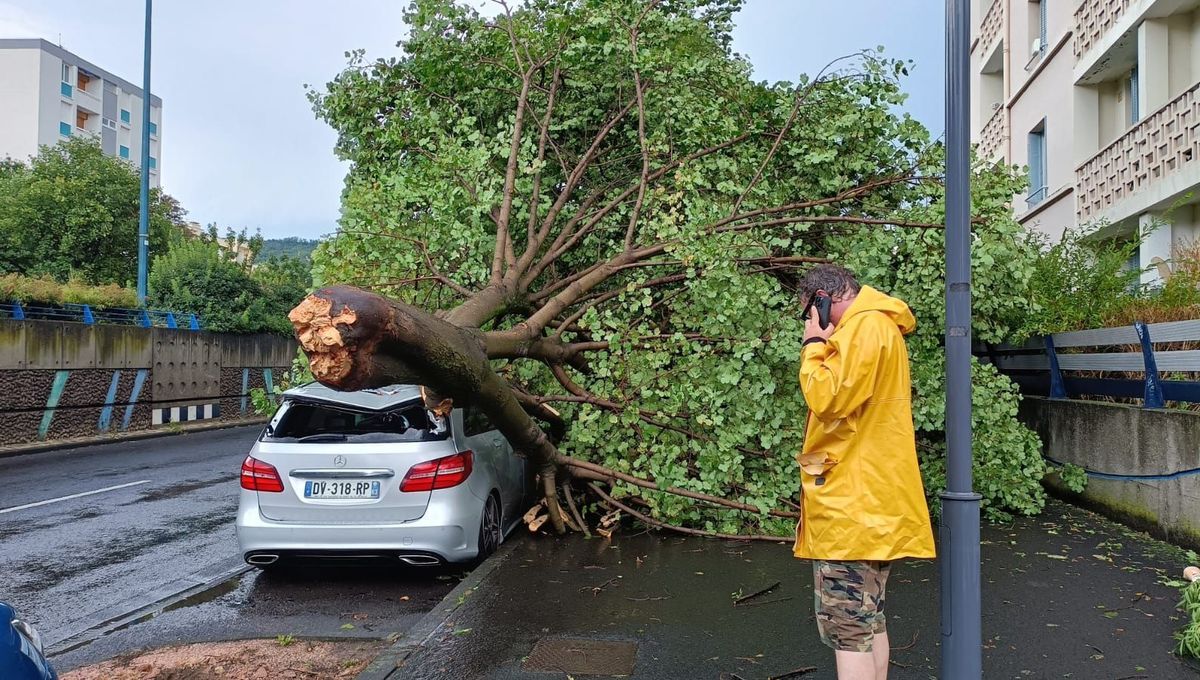 Intempéries : le vent et la pluie font des dégâts dans le Puy-de-Dôme et dans l'Allier