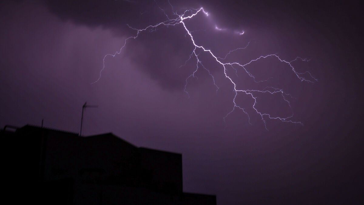 Torrent de pluie, arbres arrachés, grêle... les images impressionnantes des orages à Clermont-Ferrand